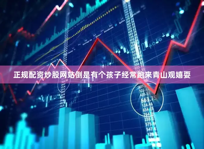 正规配资炒股网站倒是有个孩子经常跑来青山观嬉耍