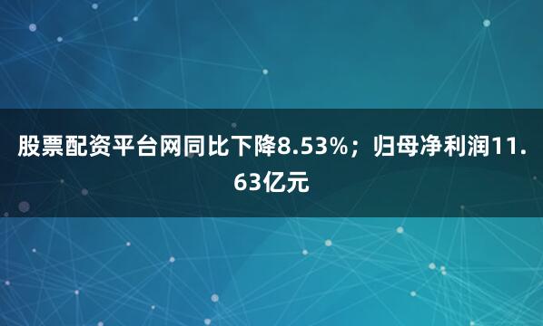 股票配资平台网同比下降8.53%；归母净利润11.63亿元