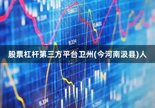 股票杠杆第三方平台卫州(今河南汲县)人